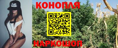 дурь Ставрополь