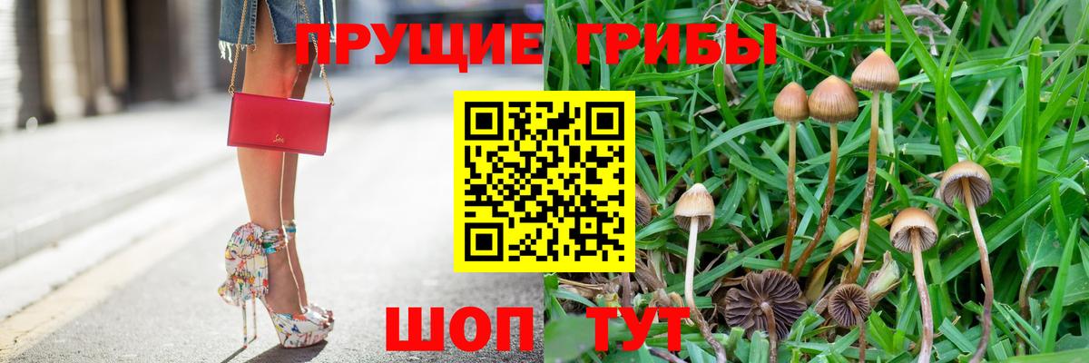Павловский Посад  Псилоцибиновые грибы Cubensis  где купить   Вход с VPN  Псилоцибиновые грибы Psilocybe 